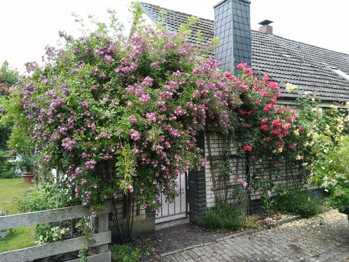 Ferienwohnung Haus Sielblick Schillig Exterior foto