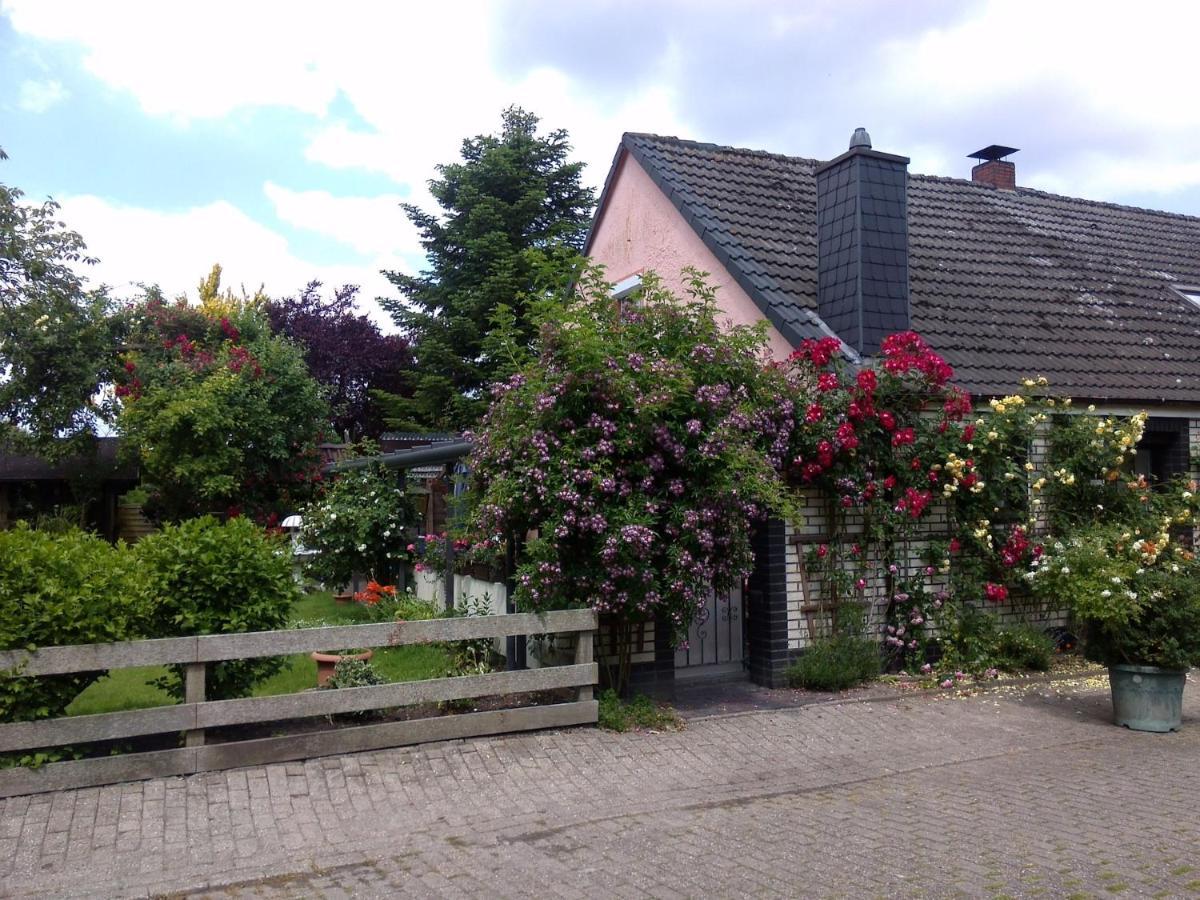 Ferienwohnung Haus Sielblick Schillig Exterior foto